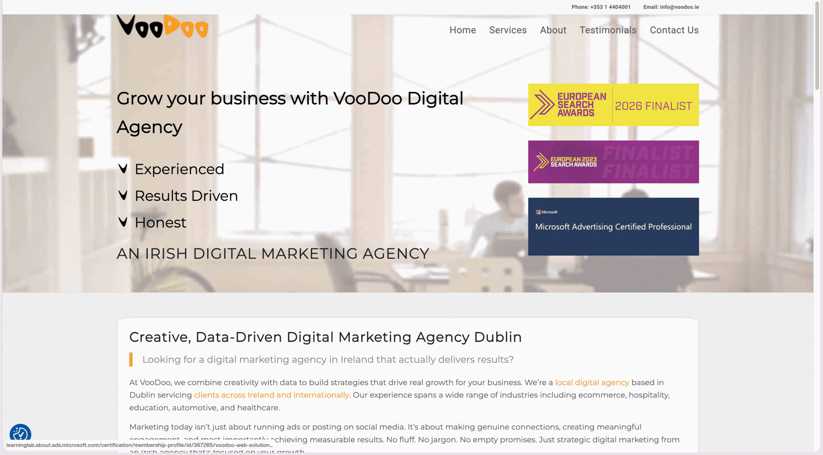 VooDoo PPC homepage