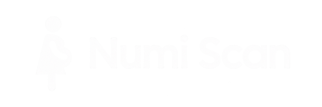 Numi Scan Logo